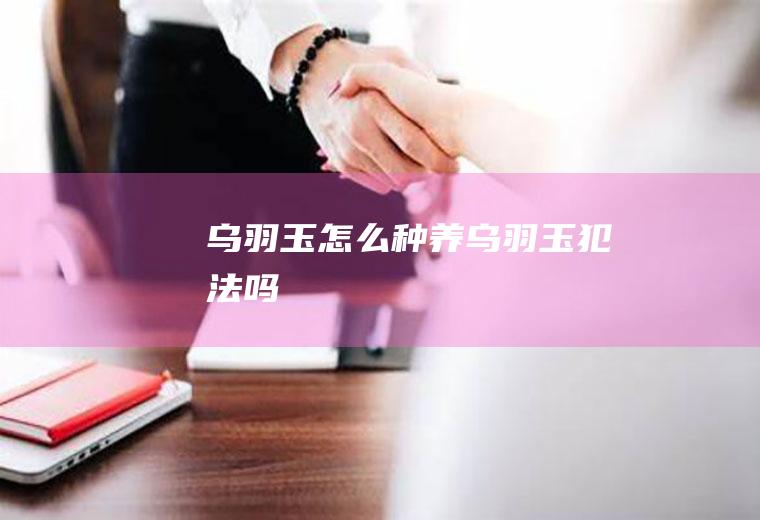 乌羽玉怎么种(养乌羽玉犯法吗)