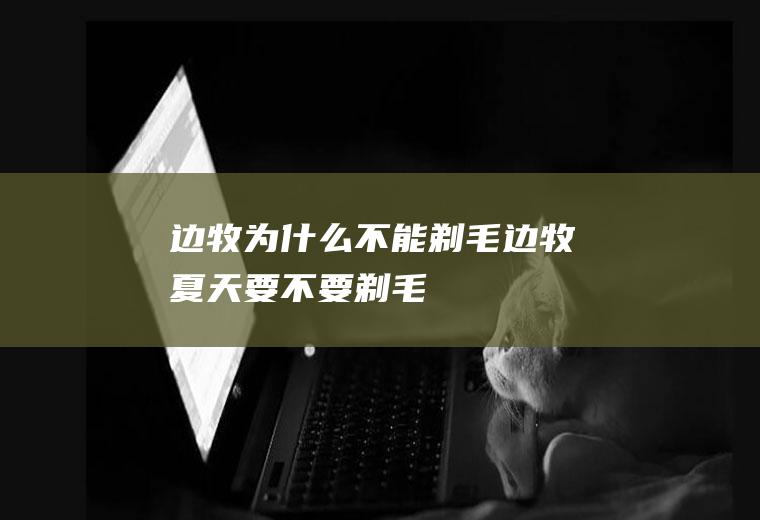 边牧为什么不能剃毛(边牧夏天要不要剃毛)