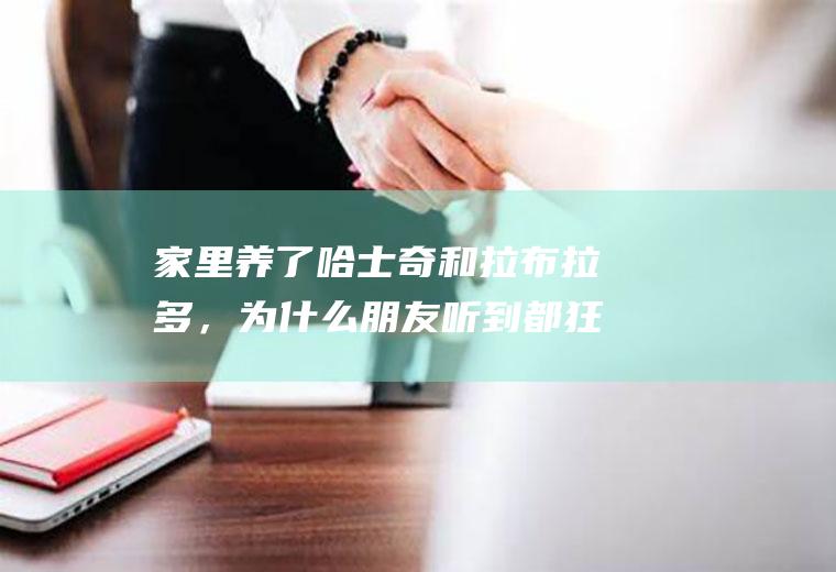 家里养了哈士奇和拉布拉多，为什么朋友听到都狂笑(金毛与拉布拉多哪个好)