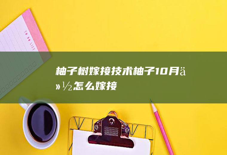 柚子树嫁接技术(柚子10月份怎么嫁接)