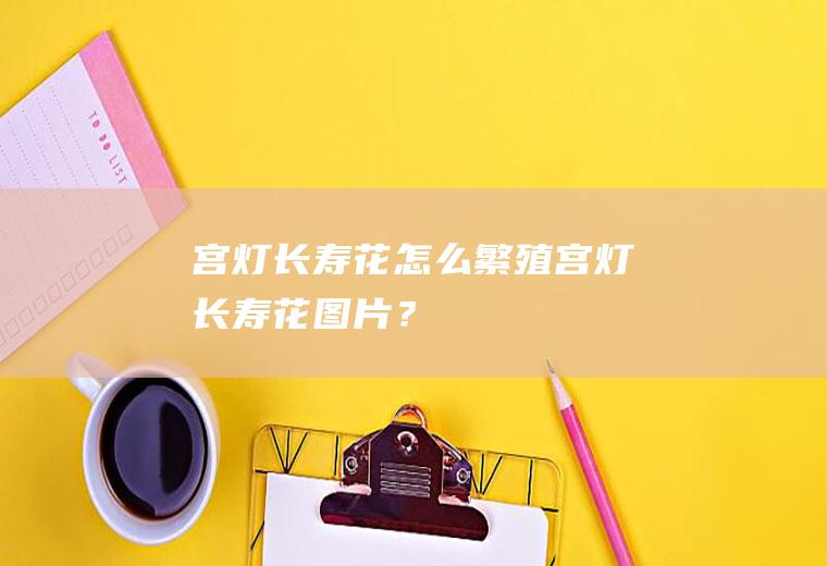宫灯长寿花怎么繁殖,宫灯长寿花图片？