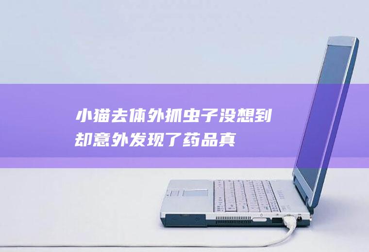 小猫去体外抓虫子,没想到却意外发现了药品,真是意外啊!