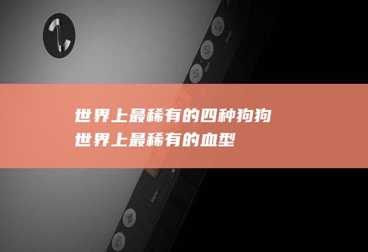 世界上最稀有的四种狗狗(世界上最稀有的血型)