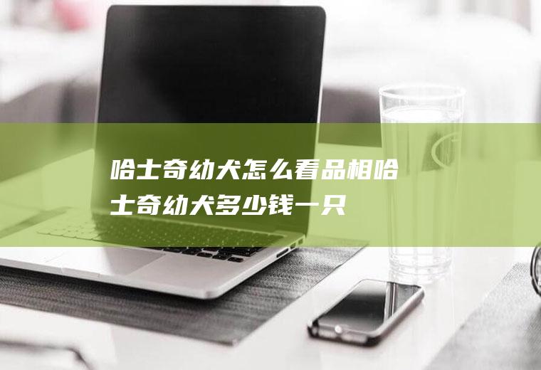 哈士奇幼犬怎么看品相(哈士奇幼犬多少钱一只)