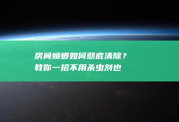房间蟑螂如何彻底清除？教你一招,不用杀虫剂也能灭掉!