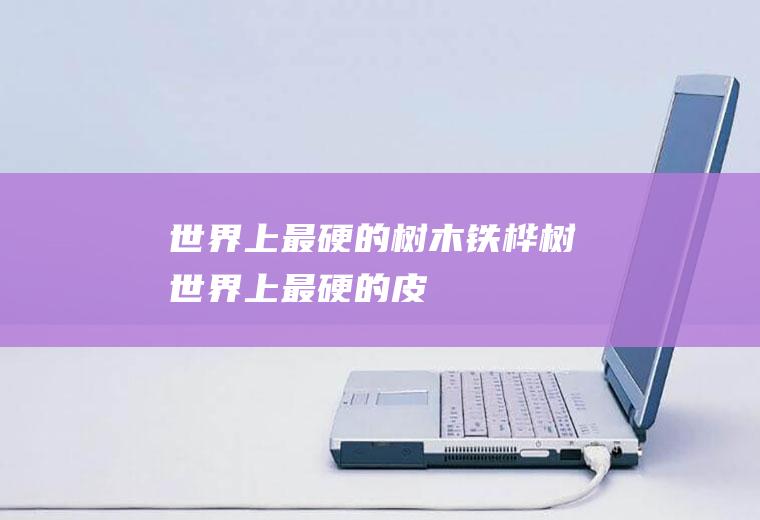 世界上最硬的树木：铁桦树(世界上最硬的皮)