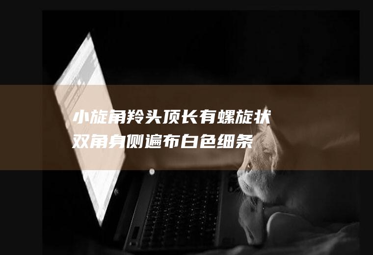 小旋角羚:头顶长有螺旋状双角身侧遍布白色细条纹(大便螺旋状正常吗)