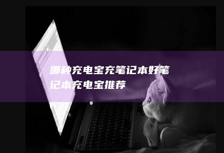 哪种充电宝充笔记本好(笔记本充电宝推荐)
