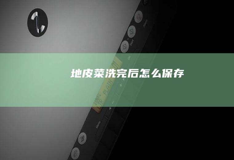 地皮菜洗完后怎么保存