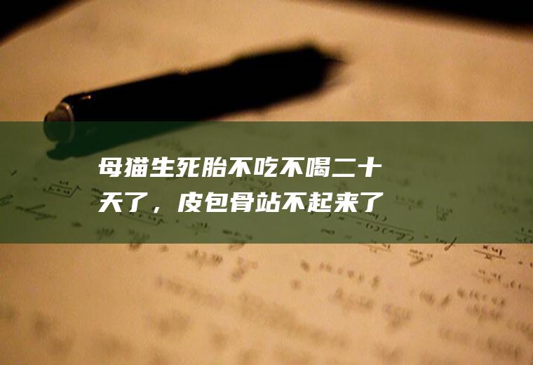 母猫生死胎不吃不喝二十天了，皮包骨站不起来了快死了还能救吗