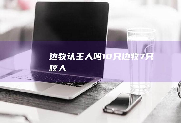 边牧认主人吗(10只边牧7只咬人)