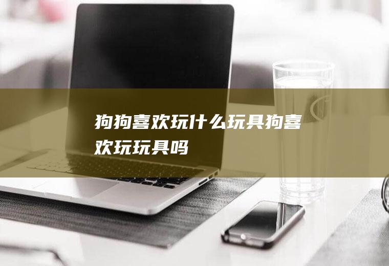 狗狗喜欢玩什么玩具(狗喜欢玩玩具吗)
