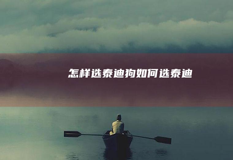怎样选泰迪狗(如何选泰迪)