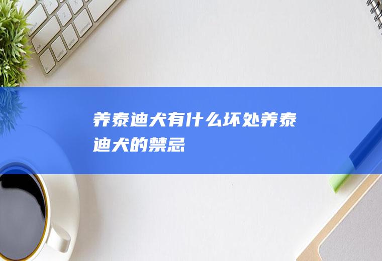 养泰迪犬有什么坏处(养泰迪犬的禁忌)