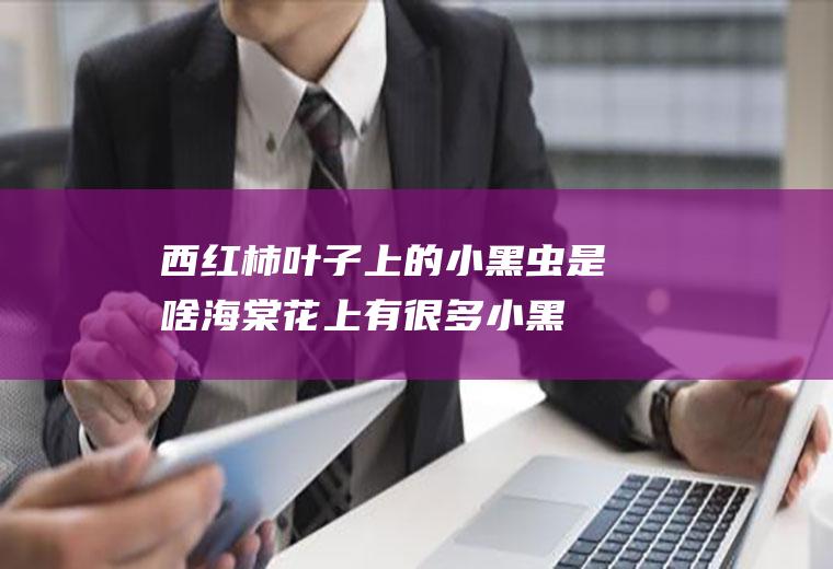 西红柿叶子上的小黑虫是啥(海棠花上有很多小黑虫)