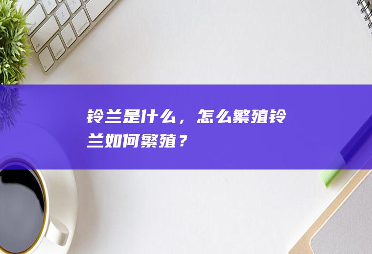 铃兰是什么，怎么繁殖,铃兰如何繁殖？