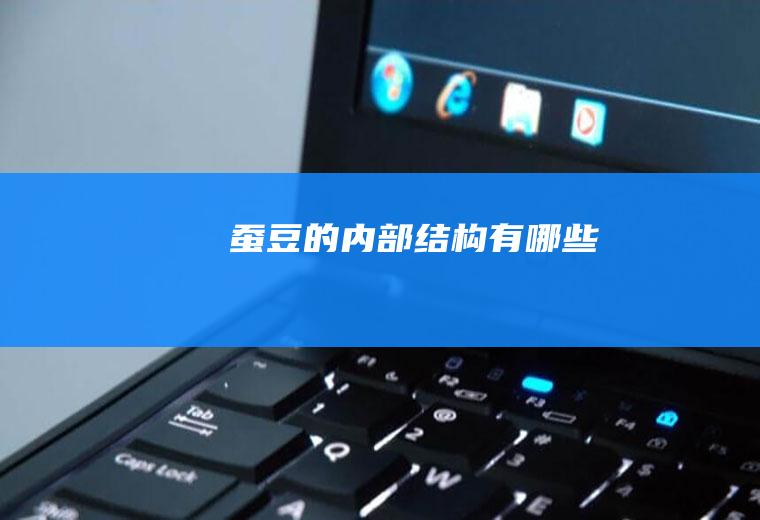 蚕豆的内部结构有哪些