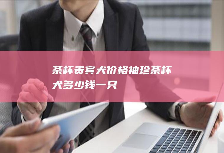茶杯贵宾犬价格(袖珍茶杯犬多少钱一只)