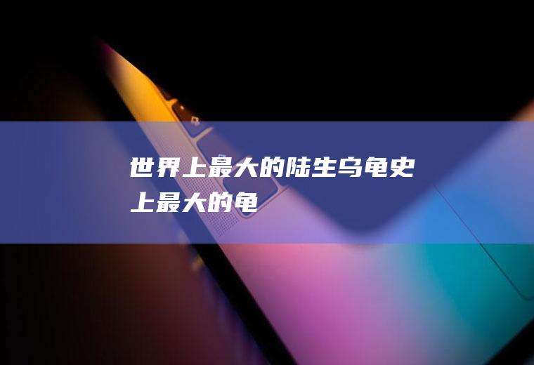 世界上最大的陆生乌龟(史上最大的龟)