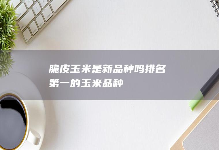 脆皮玉米是新品种吗(排名第一的玉米品种)