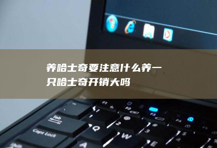 养哈士奇要注意什么(养一只哈士奇开销大吗)