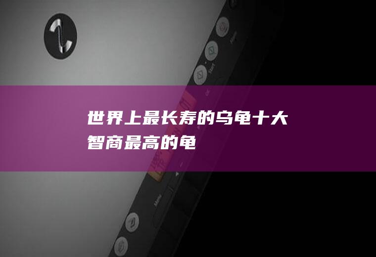 世界上最长寿的乌龟(十大智商最高的龟)