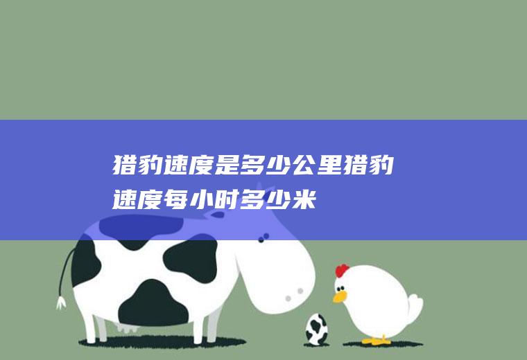 猎豹速度是多少公里,猎豹速度每小时多少米