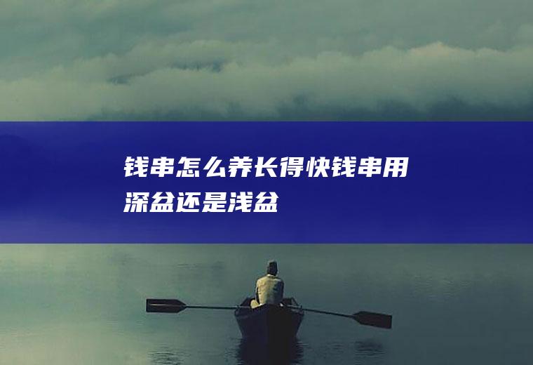 钱串怎么养长得快(钱串用深盆还是浅盆)
