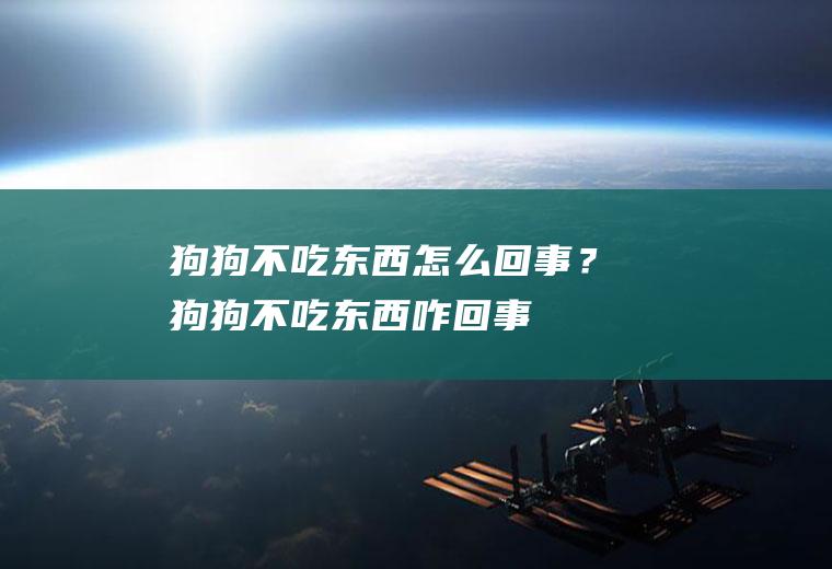 狗狗不吃东西怎么回事？(狗狗不吃东西咋回事)