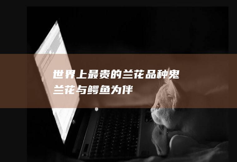 世界上最贵的兰花品种：鬼兰花（与鳄鱼为伴）(最贵兰花5000千万图片)