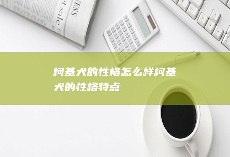 柯基犬的性格怎么样(柯基犬的性格特点)