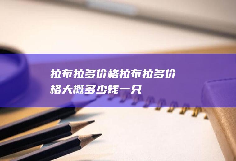 拉布拉多价格(拉布拉多价格大概多少钱一只)