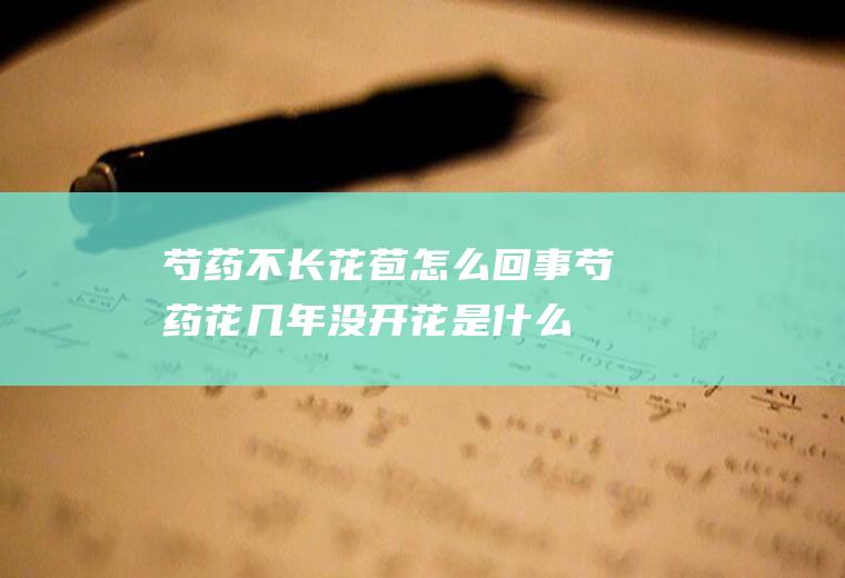 芍药不长花苞怎么回事芍药花几年没开花是什么