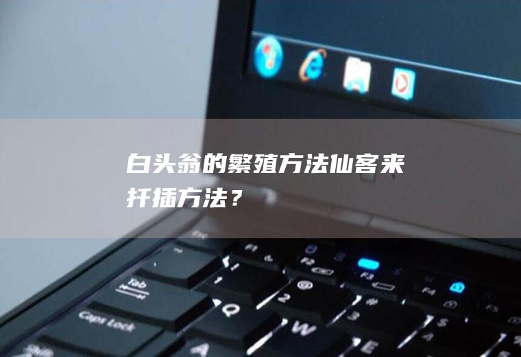 白头翁的繁殖方法,仙客来扦插方法？