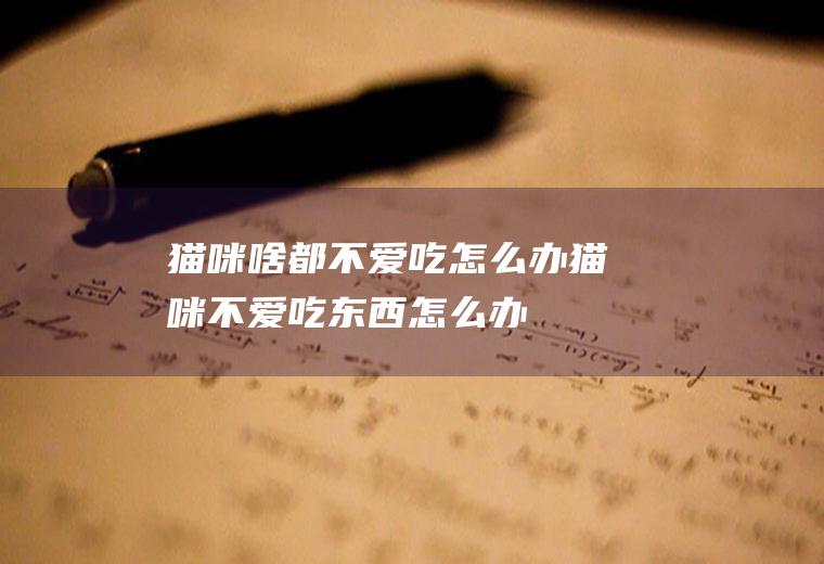 猫咪啥都不爱吃怎么办(猫咪不爱吃东西怎么办)