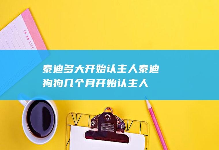 泰迪多大开始认主人(泰迪狗狗几个月开始认主人)