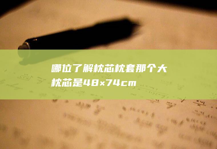 哪位了解枕芯枕套那个大(枕芯是48×74cm要买多大的枕套)