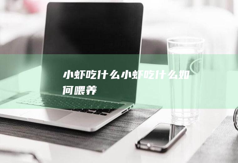 小虾吃什么,小虾吃什么如何喂养