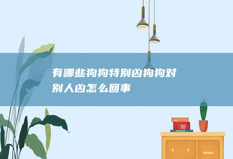 有哪些狗狗特别凶(狗狗对别人凶怎么回事)