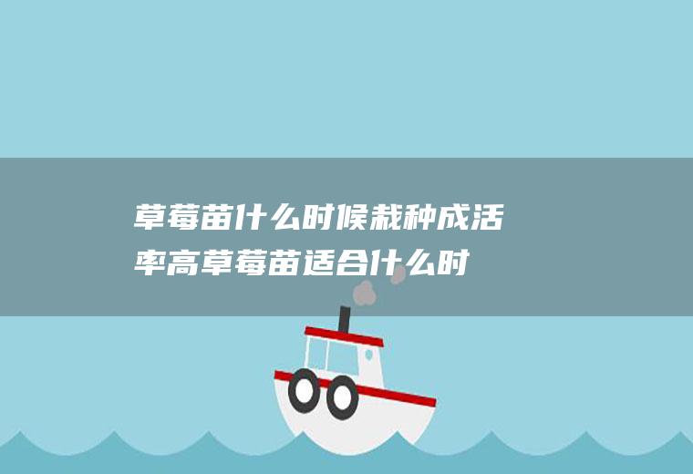 草莓苗什么时候栽种成活率高,草莓苗适合什么时候栽种？