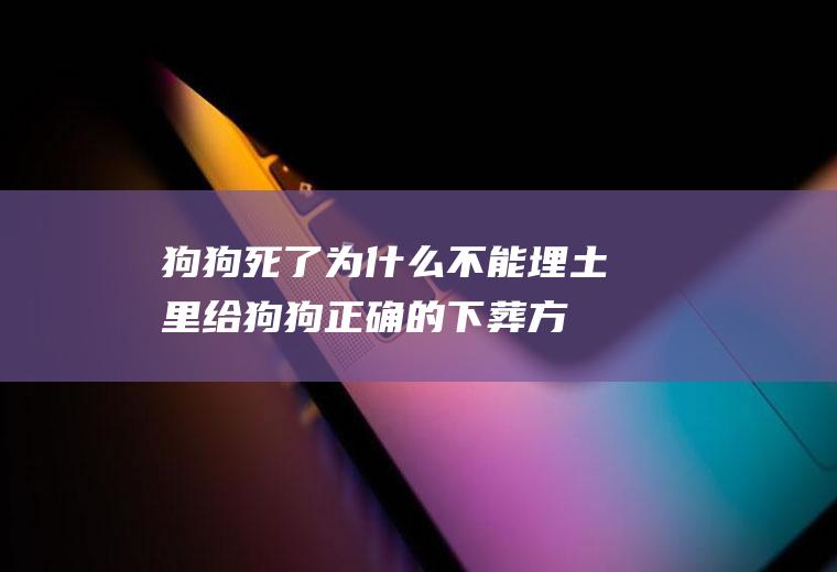 狗狗死了为什么不能埋土里(给狗狗正确的下葬方法)