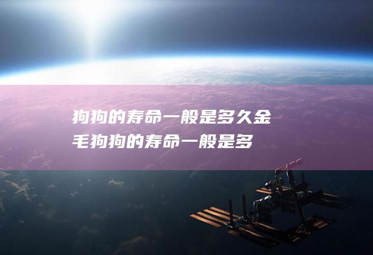 狗狗的寿命一般是多久(金毛狗狗的寿命一般是多久)