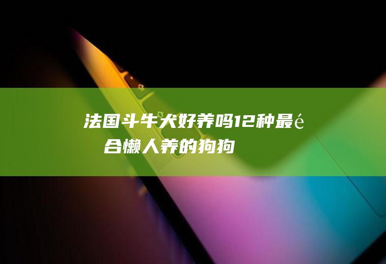 法国斗牛犬好养吗(12种最适合懒人养的狗狗)