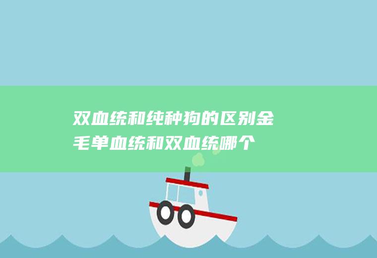 双血统和纯种狗的区别(金毛单血统和双血统哪个好)
