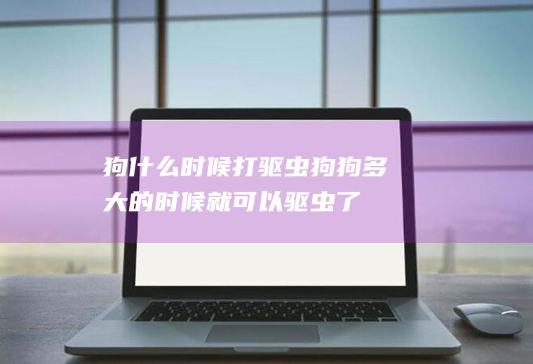 狗什么时候打驱虫(狗狗多大的时候就可以驱虫了)