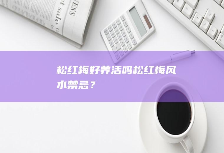 松红梅好养活吗,松红梅风水禁忌？