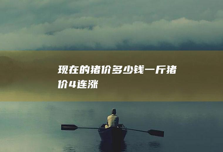 现在的猪价多少钱一斤(猪价“4连涨”)
