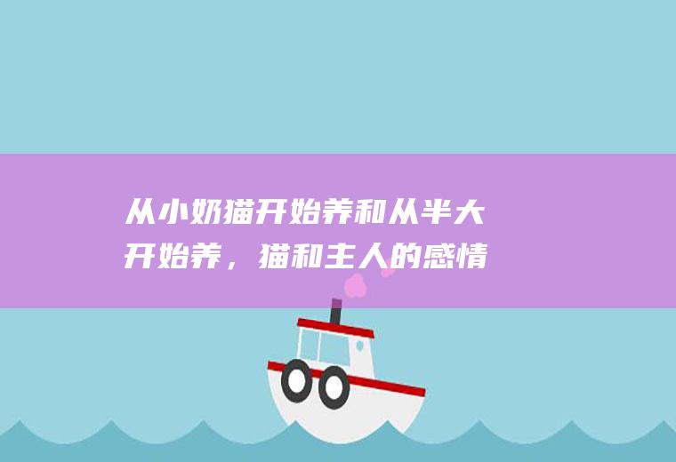 从小奶猫开始养和从半大开始养，猫和主人的感情会有区别吗(小奶猫信任主人的症状)