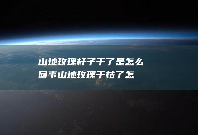 山地玫瑰杆子干了是怎么回事,山地玫瑰干枯了怎么办？