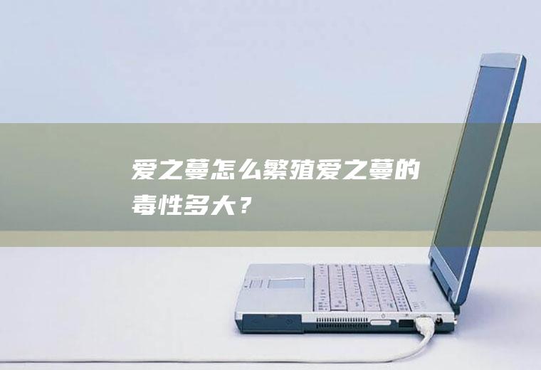 爱之蔓怎么繁殖,爱之蔓的毒性多大？